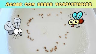 COMO ELIMINO AQUELES MOSQUITINHOS DE COZINHA...