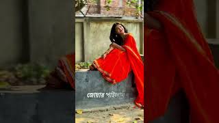 সে যে আসি বইলা গেলো চইলা। Seje Ashi Boila Gelo Coila #lyrics #trending #tiktokviral #song #shorts