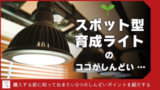 知らないと損する？スポット型植物育成LEDライトの注意点。梅雨装備を整える前に見て欲しい。【多肉・アガベ・塊根】