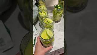 Person is making zucchini pickles with a huge Tromboncino Zucchini!