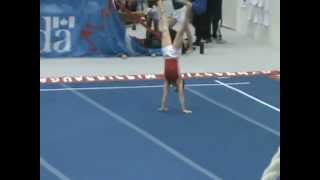 Gymnastics Ontario 2013 2nd Qualifier Floor Performance (Emre Dodanli)