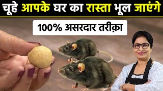 चूहों को बिना मारे घर से दूर भगाये, एक भी चूहा नजर नही आएगा Get Rid Of Rats, Chuhe Bhagane Ka Tarika