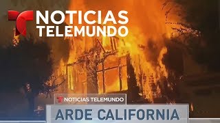 Noticias Telemundo, 9 de octubre de 2017 | Noticiero | Noticias Telemundo