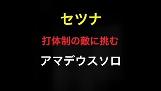 【白猫プロジェクト】セツナ アマデウスソロ