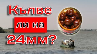 Риболов на шаран | Кълве ли на 24mm топче?