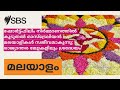 ഷോർട്ട്ഫിലിം നിർമ്മാണത്തിൽ കൂടുതൽ ഓസ്ട്രേലിയൻ മലയാളികൾ സജീവമാകുന്നു രാജ്യാന്തര മേളകളിലും...