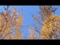 Tim McMorris - Superhero