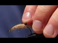 ahrex simple dubbing shrimp tied by morten hansen