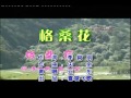 格桑花 亜东