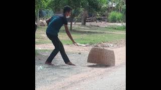 🤣யப்பா சிரிப்ப அடக்க  முடியலடா சாமி 😁 dog funny moments @Nakkupoochiyt