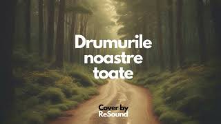 Dan Spataru - Drumurile noastre toate, Rock cover by ReSound