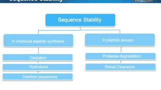 Peptide Design Strategy  Basics, Optimization, and Application