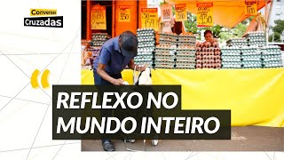 CRISE do OVO nos EUA: preço vai DISPARAR no Brasil? Economista explica alta | Conversas Cruzadas