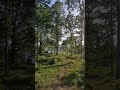 Campen wie ein Eremit, freistehen in Schweden