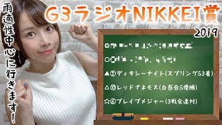 【競馬予想】G3 ラジオNIKKEI賞 2019【さくまみお】