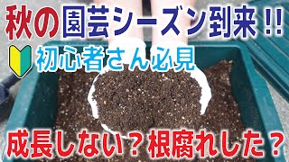 【ユーザー様】秋の園芸シーズンに向け失敗しない、培養土の基本や正しい植え方について#202【ゲブラ式植え方】