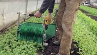 Using The Quick Cut Greens Harvester To Harvest Baby Greens