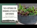 The 4 Options for Growing Lettuce in Containers - Part 1 of Container Gardening for Beginners Series