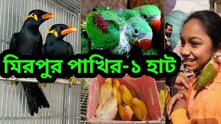 মিরপুর পাখির হাটে চন্দনা টিয়ার বাচ্চা||কথা বলা ময়না পাখি|লাভ বার্ড কোকাটেল|সান কনুর |লরি|