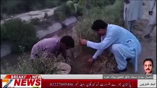 Sajjad Khaliq Lakhvi is reporting from our tehsil reporter Renala Khurd   Tree planting charity is