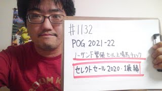 【POG2021-22】ノーザンF繁殖牝馬セール関連馬　セレクトセール2020・1歳馬編