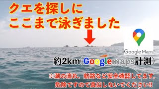 クエを探して沖磯まで2km泳ぎました!!幻の魚クエへの道!!vol4