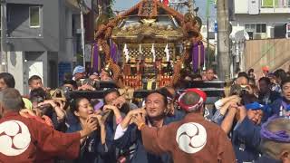 平成29年　世田谷区＜深澤神社＞例大祭　宮神輿＝宮出（渡御）