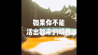 201604 如果你不能活出如来的境界21857