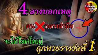 4 ลางบอกเหตุ‼️คนกากบาท กลางฝ่ามือ มีพลังวิเศษที่ซ่อนอยู่ ใช้ให้เป็น จะได้โชคใหญ่ ถูกหวยรางวัลที่ 1