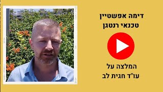 המלצה של דימה אפשטיין