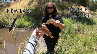 Fishing *NEW* Urban Lakes Catching Redfin In Melbourne, Victoria