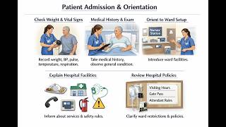 Hospital Admission Procedures Explained: From Arrival to Assessment