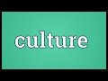 Culture Meaning