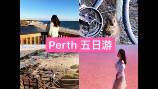 Perth西澳好山好水好风光之旅 | 粉糊 pink lake到底美不美？ | 自然之窗到底自不自然