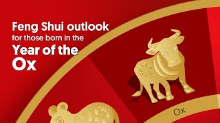 2023 Chinese Zodiac Forecast - Ox