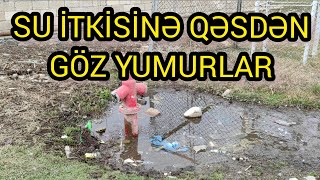 İsmayıllıda su kanal idarəsinin səhlənkarlığı dövlətə nə qədər ziyan vurur