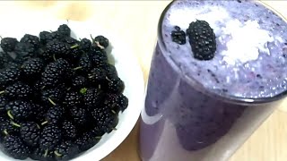 शेहतुत का मिल्कशेक shehtut milkshake recipe Durga the Life