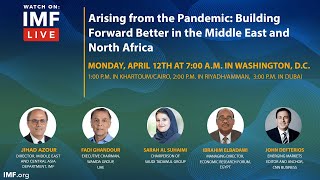 Arising from the Pandemic: Building Forward Better in the Middle East and North Africa