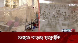 রাজধানীতে প্রতিদিনই বাড়ছে ডেঙ্গু রোগী | Dengue fever | News24