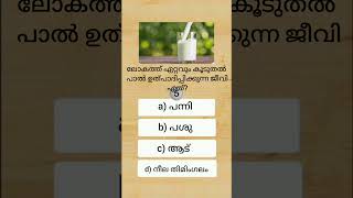 ലോകത്ത് ഏറ്റവും കൂടുതൽ പാൽ ഉത്പാദിപ്പിക്കുന്ന ജീവി ഏത്? #gkquestions #generalknowledge