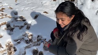 Dhanaulti Vlog || Dhanaulti Snowfall 2023 || Eco Park || Mussoorie || Uttarakhand♥️