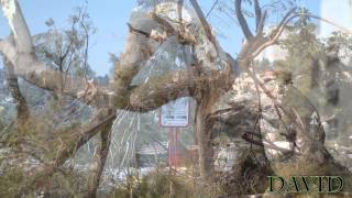 סופת השלגים הכי גדולה שהיתה ישראל ! \\ Israel snowstorm