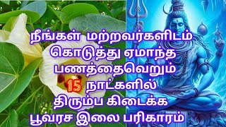 மற்றவர்களிடம் கடன் கொடுத்து ஏமாந்த பணத்தை 15 நாட்களில் திரும்பவும் வரவைக்கும் பூவரச இலை பரிகாரம்