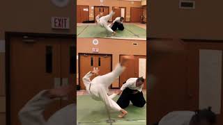 WOW!合氣 | 掴んで投げる : Grab and Throw | 袖掴み投げ SodeTsukamiNage : Sleeve Grab Throw　#合氣道  #martialarts