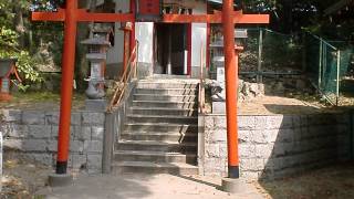 住吉稲荷社 住吉龍神社・住吉神社