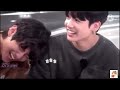 taekook fmv 💖