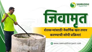 जिवामृत: शेतकऱ्यांसाठी नैसर्गिक खत तयार करण्याची सोपी पद्धत | Samruddhi Organic Farming