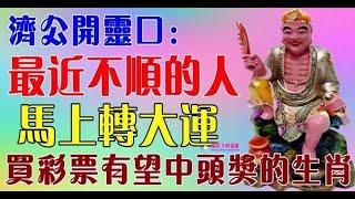 最近不順的人，馬上轉好運，買彩票有望中頭獎的生肖 | 星座生肖