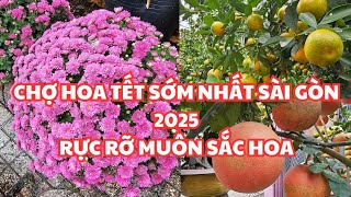 CHỢ HOA TẾT SỚM NHẤT Sài Gòn 2025: RỰC RỠ CÁC LOẠI HOA CÚC, CÓ ĐỦ TẮC BƯỞI NHÃN TÍM, Thành Thái q.10