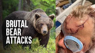Wild Animals Are Trying to Kill Us (2024)